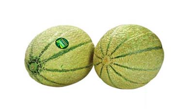 23-rock-melon
